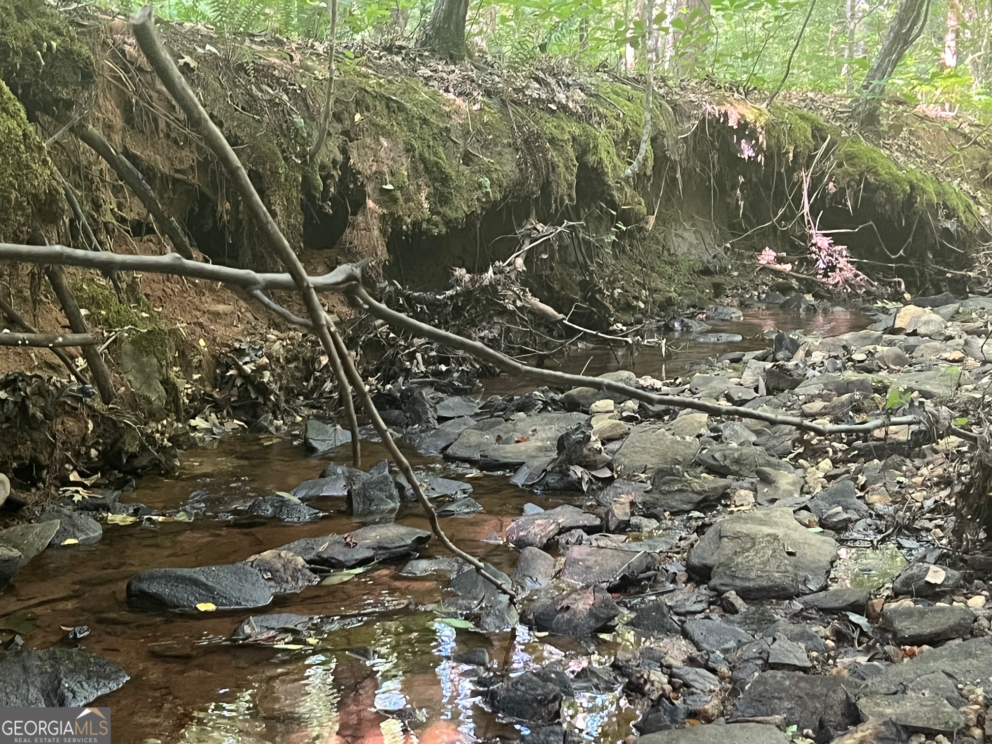 0 Dickson Road Rutledge, GA 30663 - Photo 10 of 46 a view of a yard with a tree
