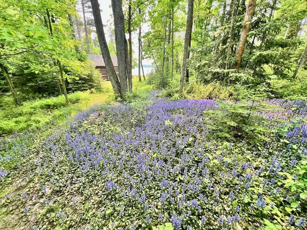 $325,000 | Tbd Tbd Malmstrom Island, Orr, MN 55771