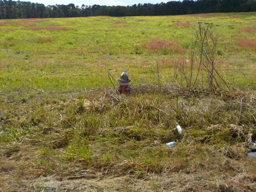 54.28-ac Webb Road Dothan, AL 36301 - Photo 43 of 57