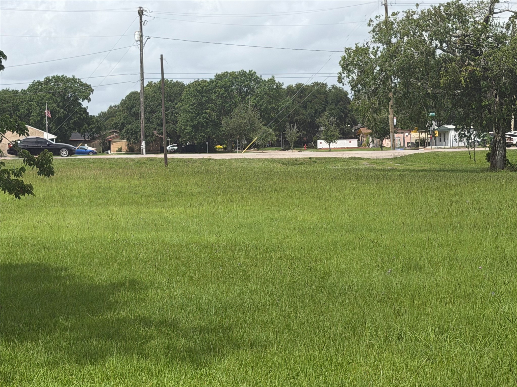 Lot 10 Guess Avenue Kendleton, TX 77417 - Photo 5 of 10