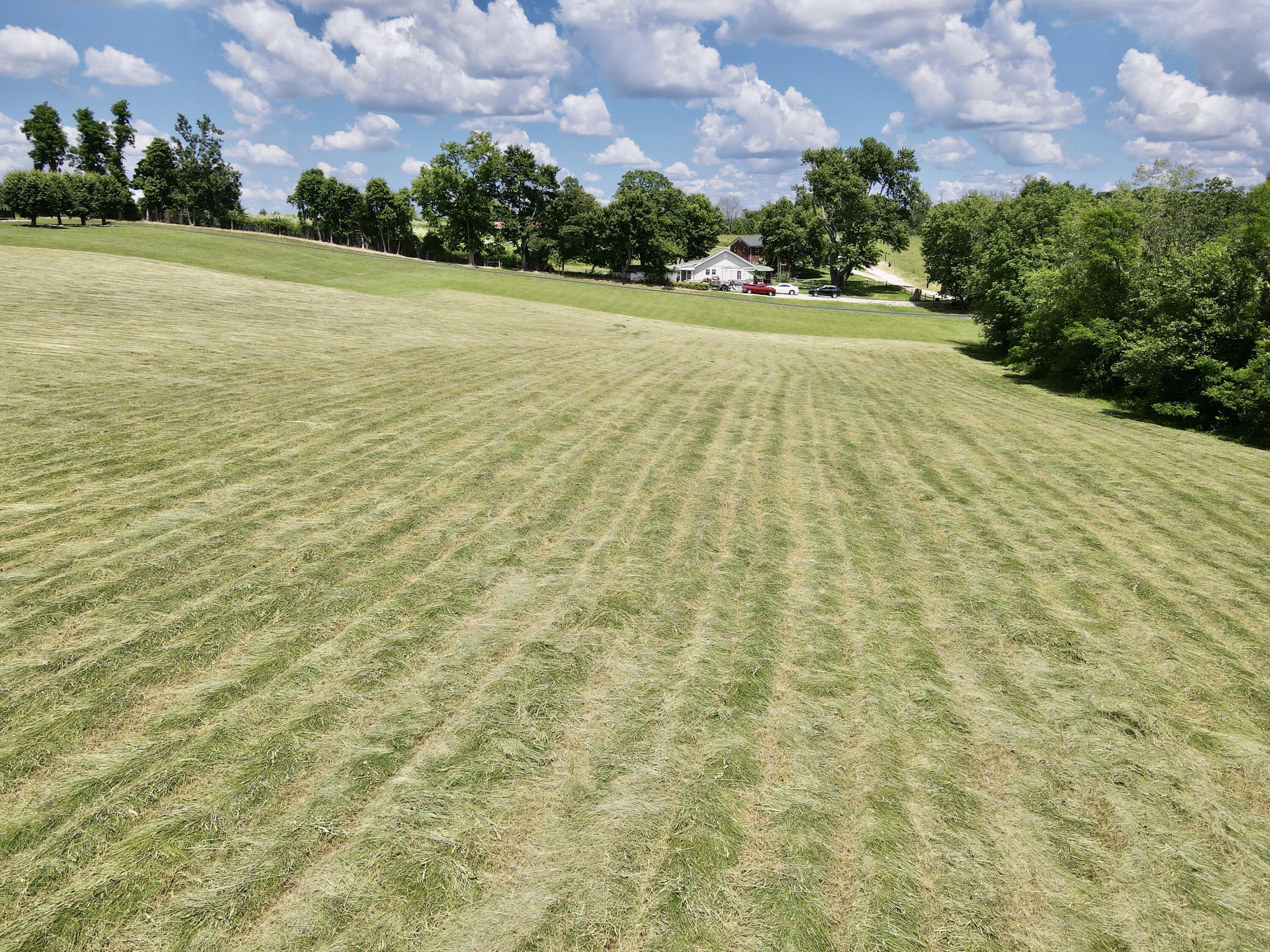 9999 Chestnut Grove Road Brodhead, KY 40409 - Photo 50 of 67 A815664E-9778-4B49-9B0E-70C0A7CCBE12