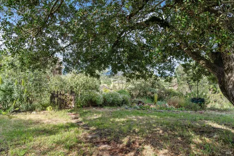 a big yard with lots of green space and deers