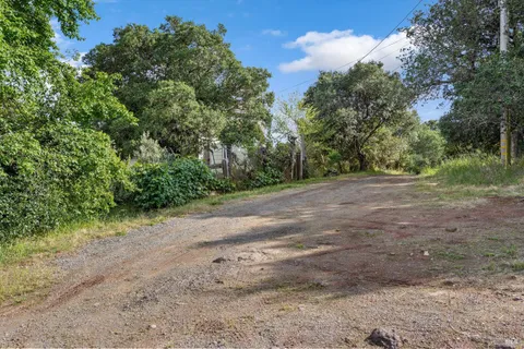 a view of a yard with a tree