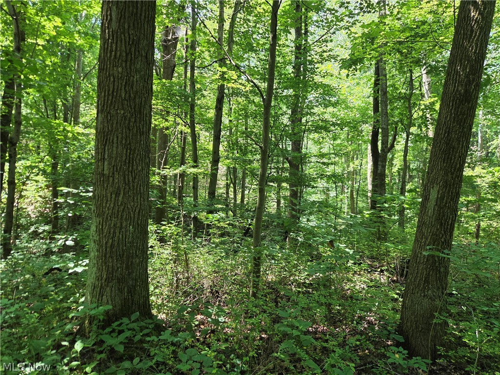 Midvale Mine Road Dennison, OH 44621 - Photo 6 of 16 Gallery Image 6