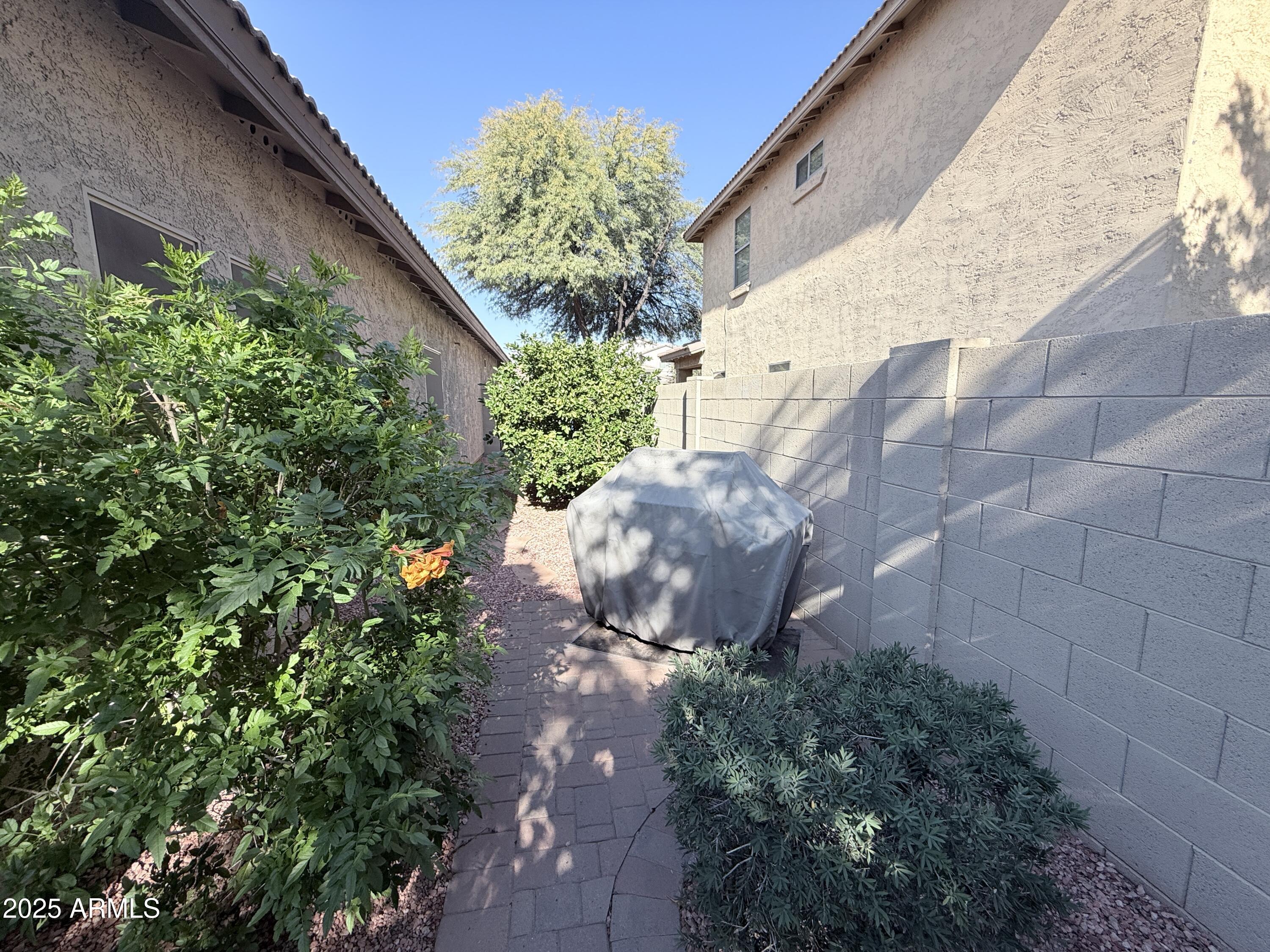 16549 West Rowel Road Surprise, AZ 85387 - Photo 23 of 23 a view of a garden with plants