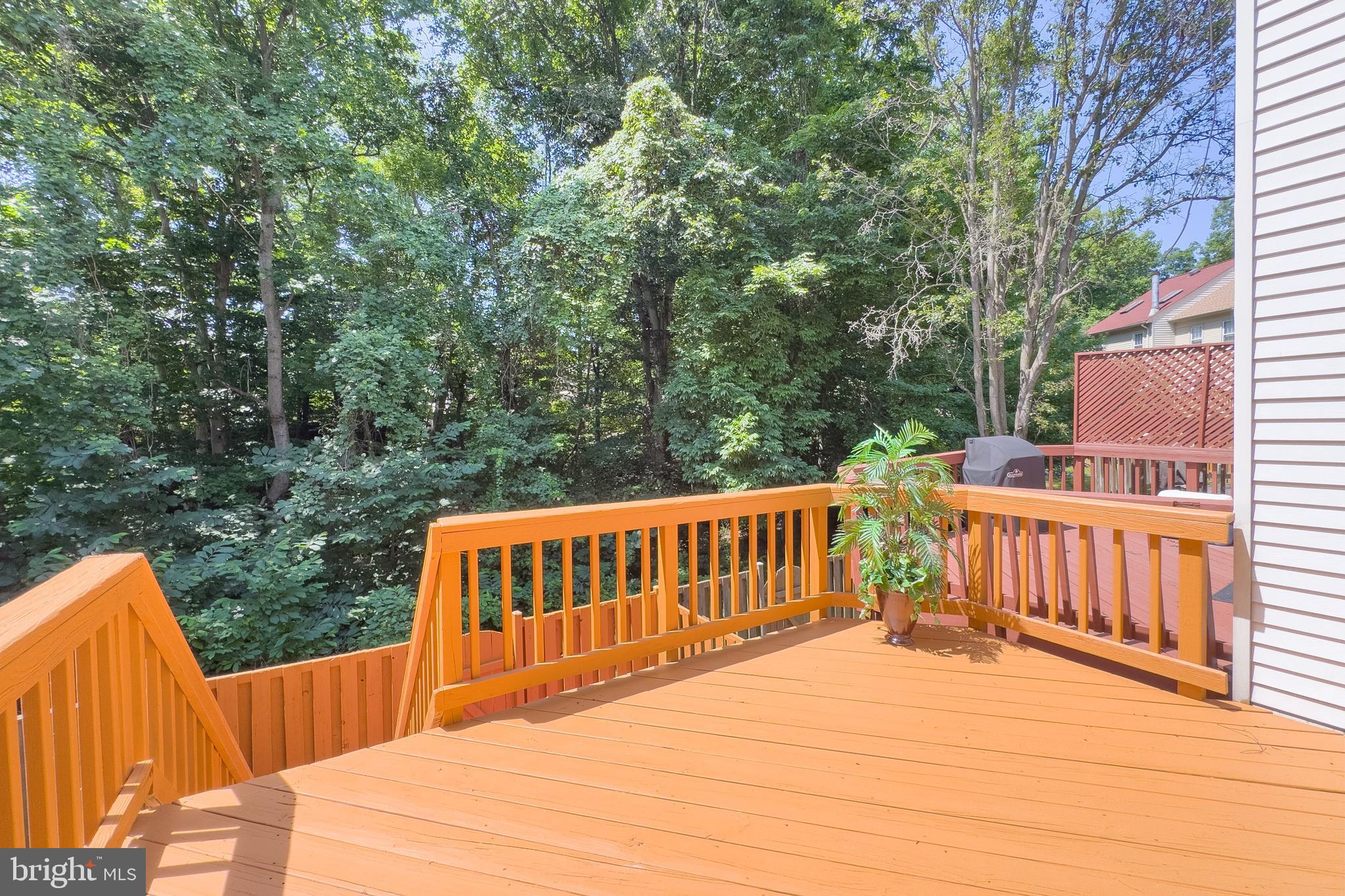 8434 Springfield Oaks Drive Springfield, VA 22153 - Photo 19 of 46