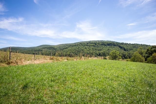 18525 Route 259 Mathias Wv 26812 Mathias, WV 26812 - Photo 11 of 36 a view of a green field with mountains in the background