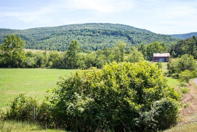 18525 Route 259 Mathias Wv 26812 Mathias, WV 26812 - Photo 2 of 36 a view of a lush green field with a mountain in the background