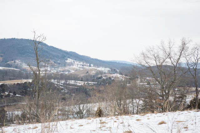 18525 Route 259 Mathias Wv 26812 Mathias, WV 26812 - Photo 33 of 36 a view of a yard