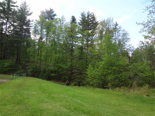 Lot 0 Bennett Road Hampden, MA 01036 - Photo 5 of 8 Gallery Image 5
