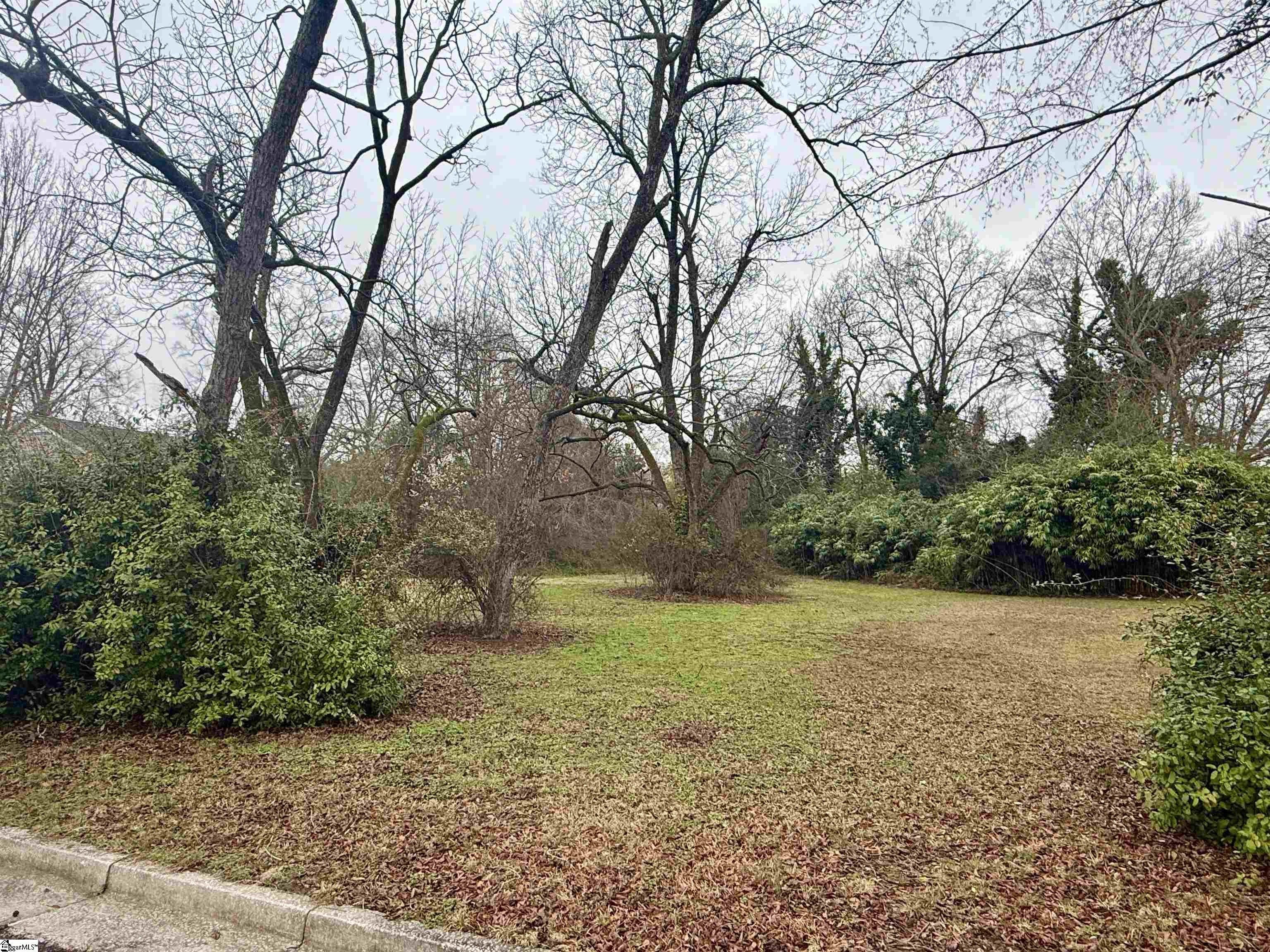 Hickory Street Clinton, SC 29325 - Photo 2 of 5