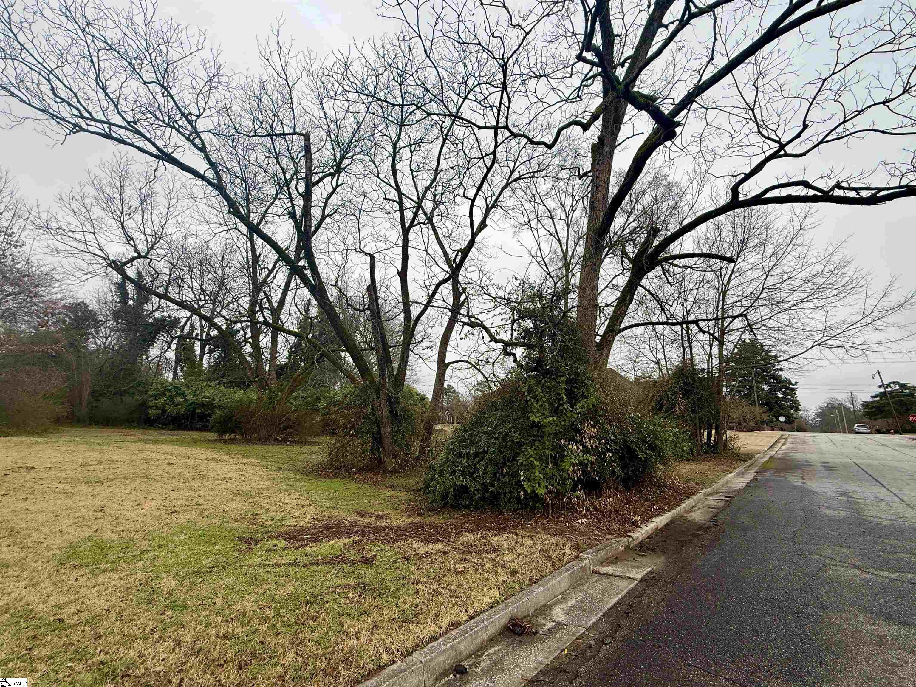 Hickory Street Clinton, SC 29325 - Photo 3 of 5