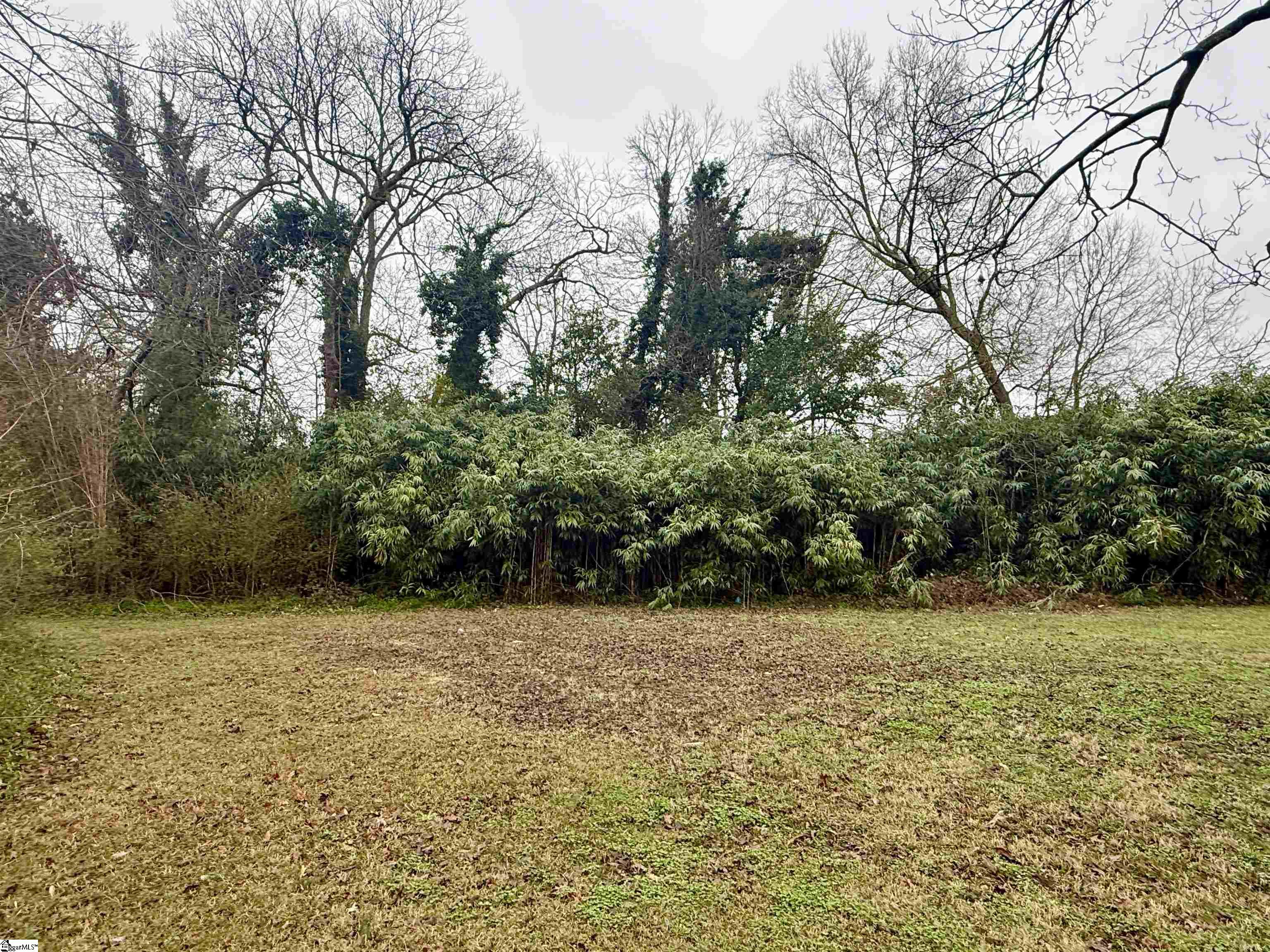 Hickory Street Clinton, SC 29325 - Photo 4 of 5