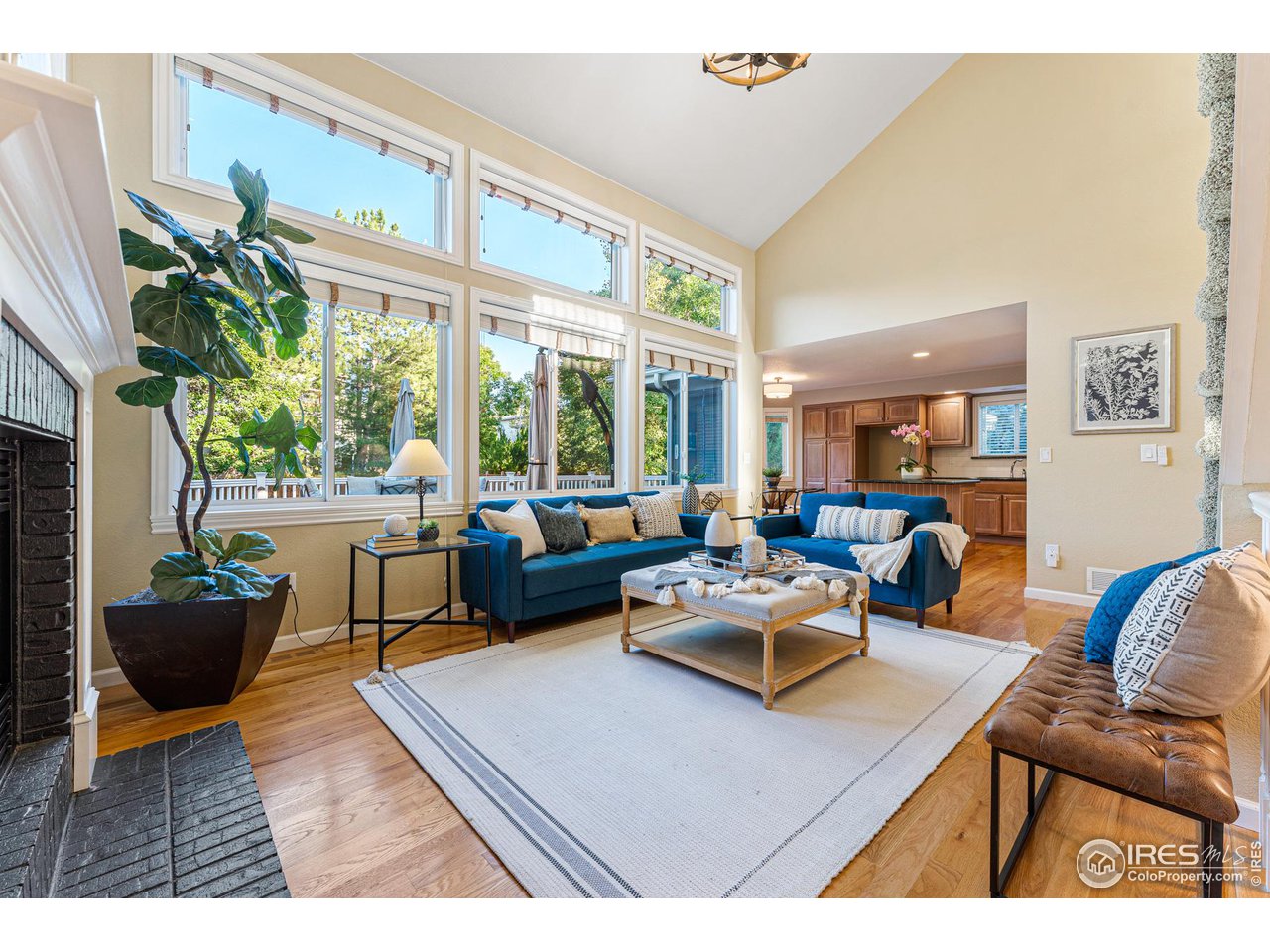 7452 Augusta Drive Boulder, CO 80301 - Photo 10 of 40 a living room with furniture a rug and a potted plant