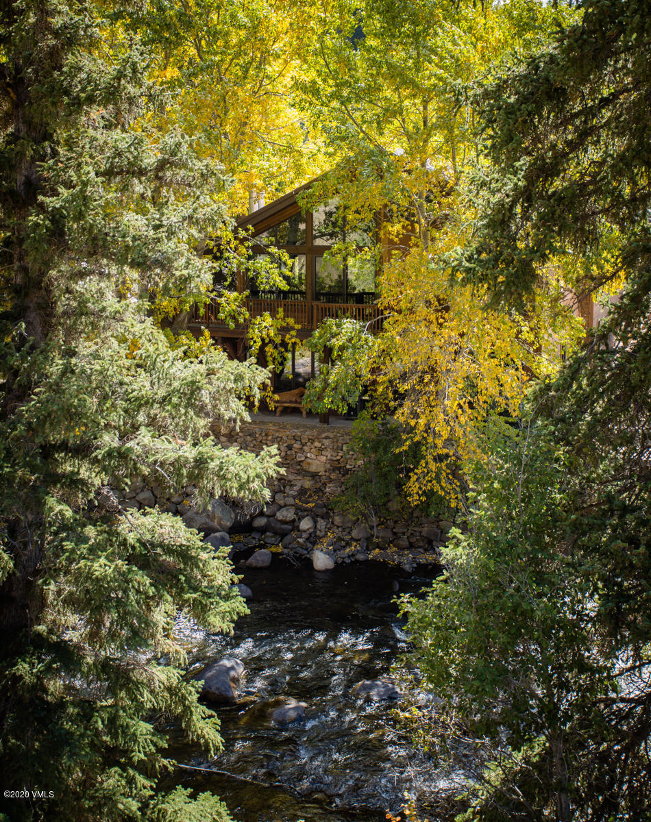 850 Main Street, Unit A Minturn, CO 81645 - Photo 34 of 34 a view of a yard with plants and tree