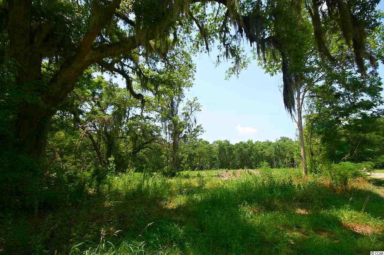 Tbd Peachtree Road Myrtle Beach, SC 29588 - Photo 3 of 17 Gallery Image 3