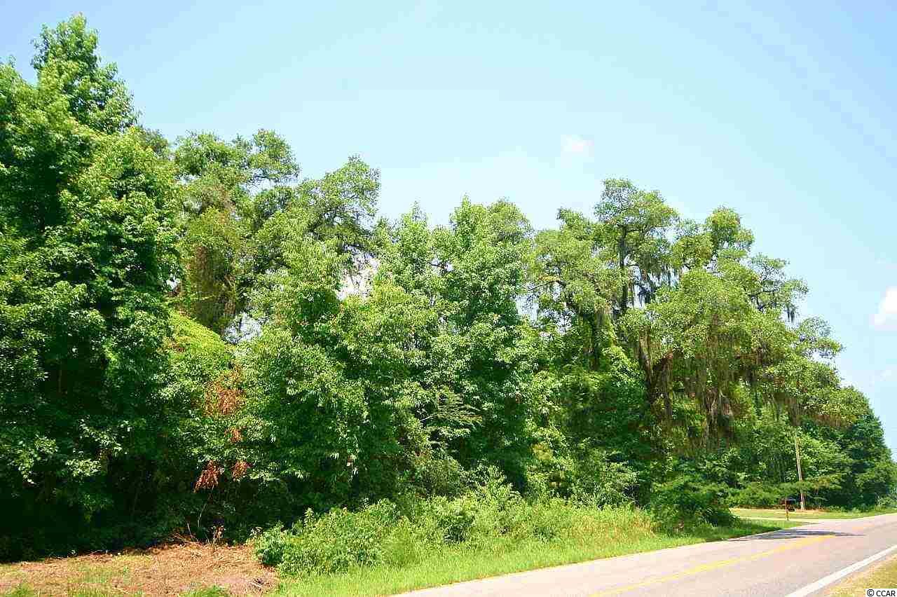 Tbd Peachtree Road Myrtle Beach, SC 29588 - Photo 10 of 17 Gallery Image 10