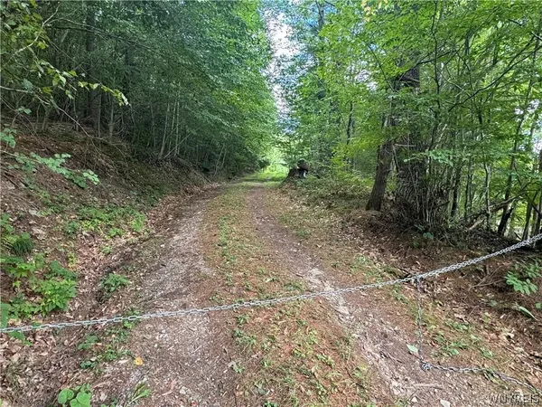 $190,000 | 5400 County Road 38, Alma, NY 14708