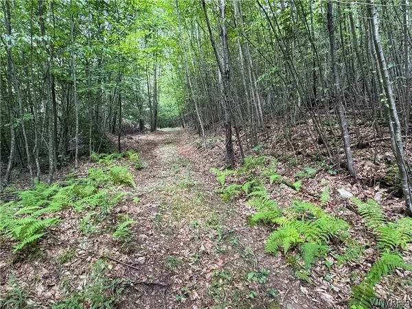 $190,000 | 5400 County Road 38, Alma, NY 14708