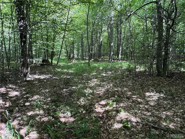 $190,000 | 5400 County Road 38, Alma, NY 14708