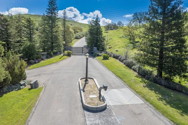 a view of a yard in front of a house with a yard