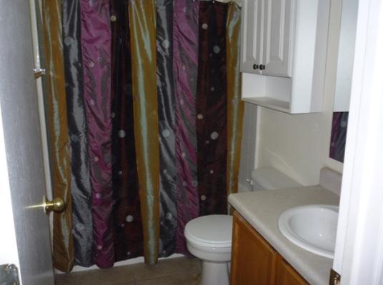 8409 West Granada Road Phoenix, AZ 85037 - Photo 8 of 10 Bathroom