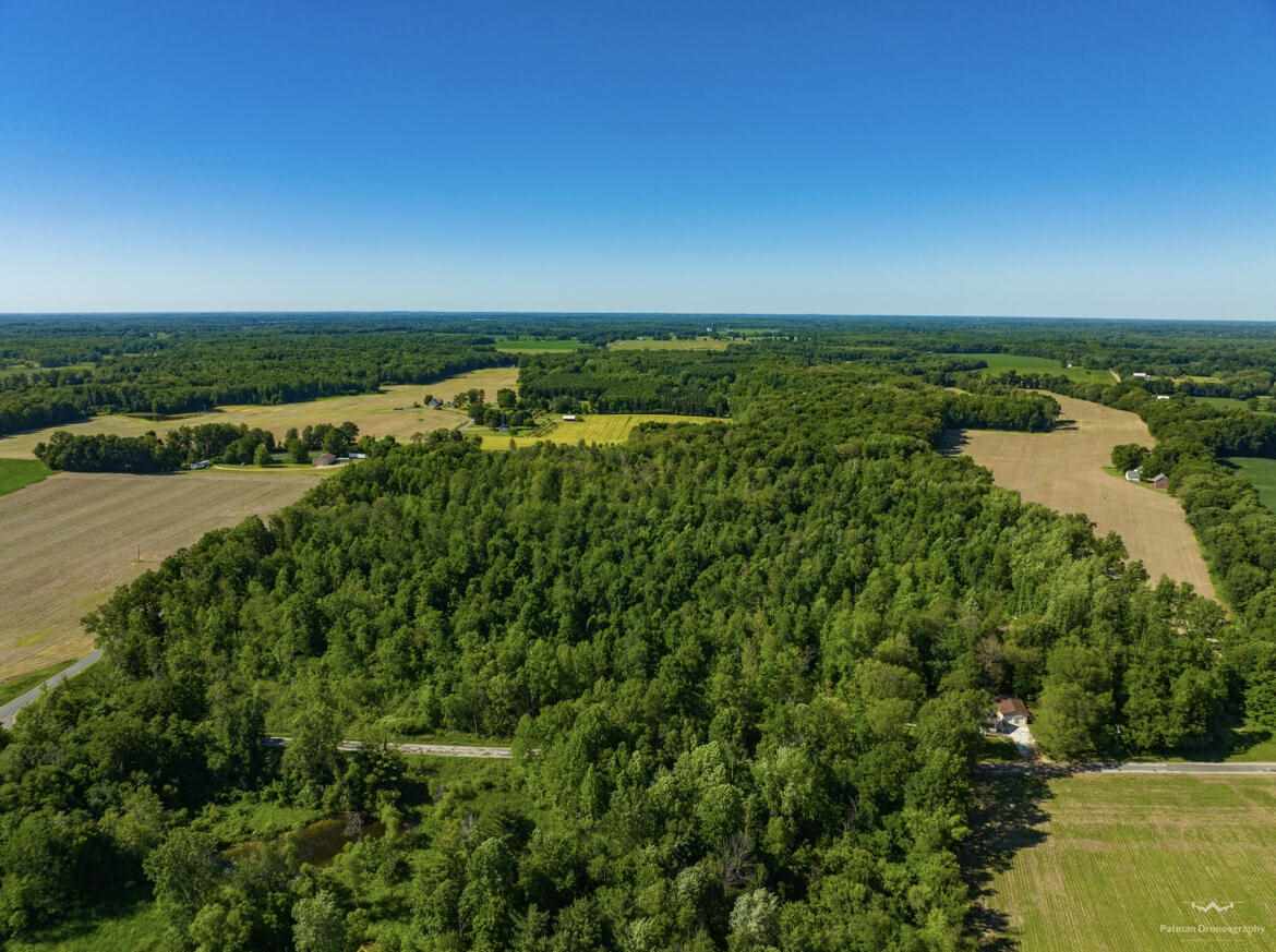 14 14 Mile Road Coldwater, MI 49036 - Photo 1 of 15