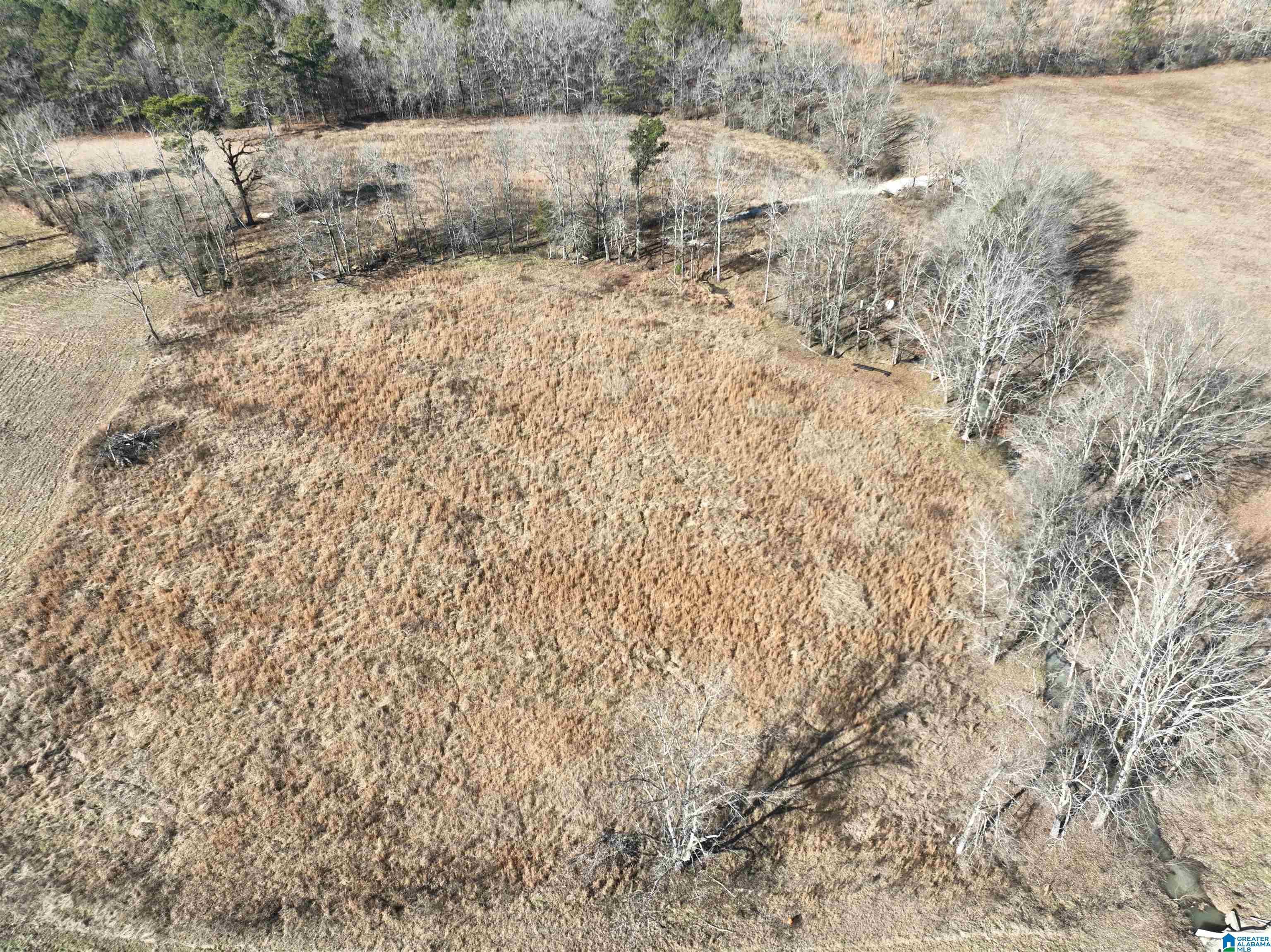 0 Poplar Springs Road Ashville, AL 35953 - Photo 7 of 10