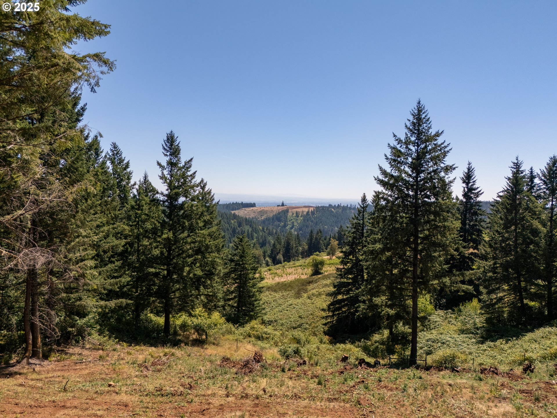 0 Northeast Old Parrett Mountain Road, Unit 2 Newberg, OR 97132 - Photo 11 of 43
