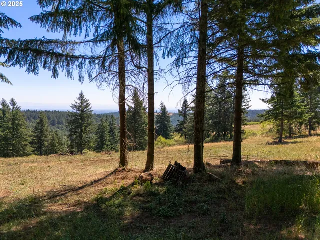 a view of outdoor space with trees