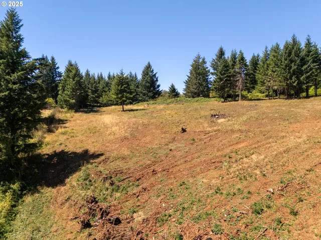 a view of a yard with a tree