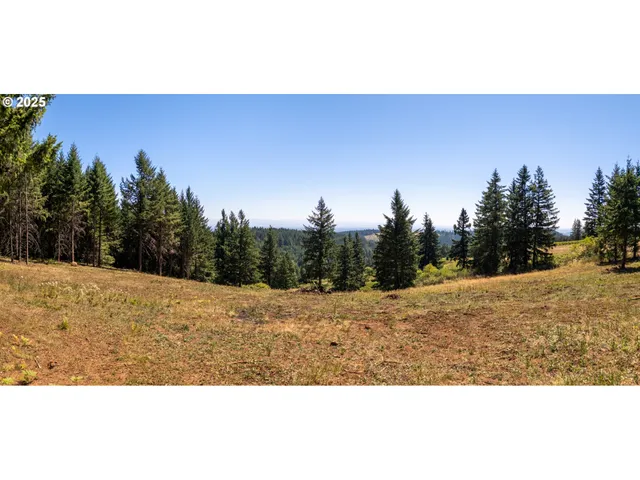 a view of mountain view and trees