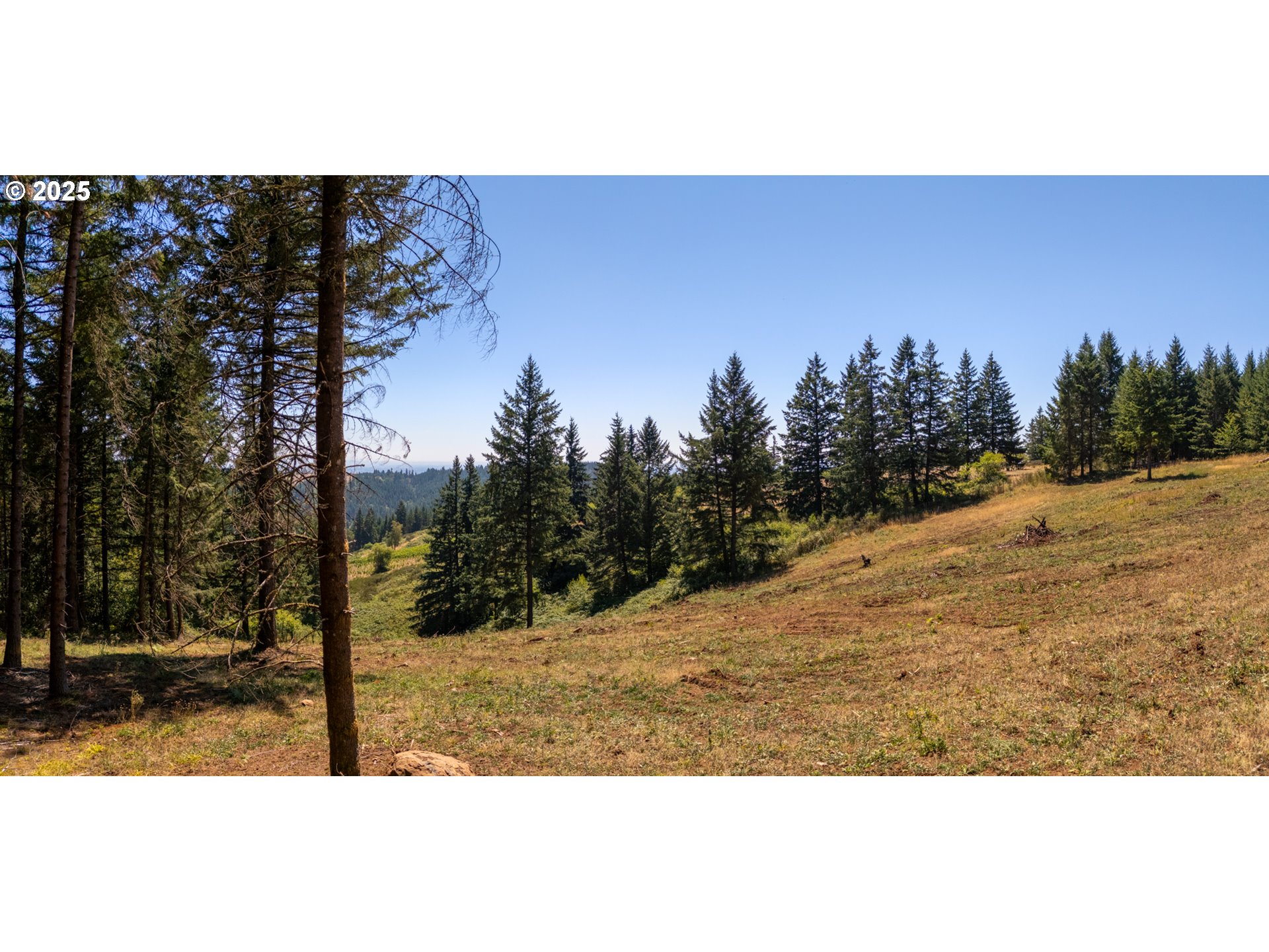 0 Northeast Old Parrett Mountain Road, Unit 2 Newberg, OR 97132 - Photo 17 of 43