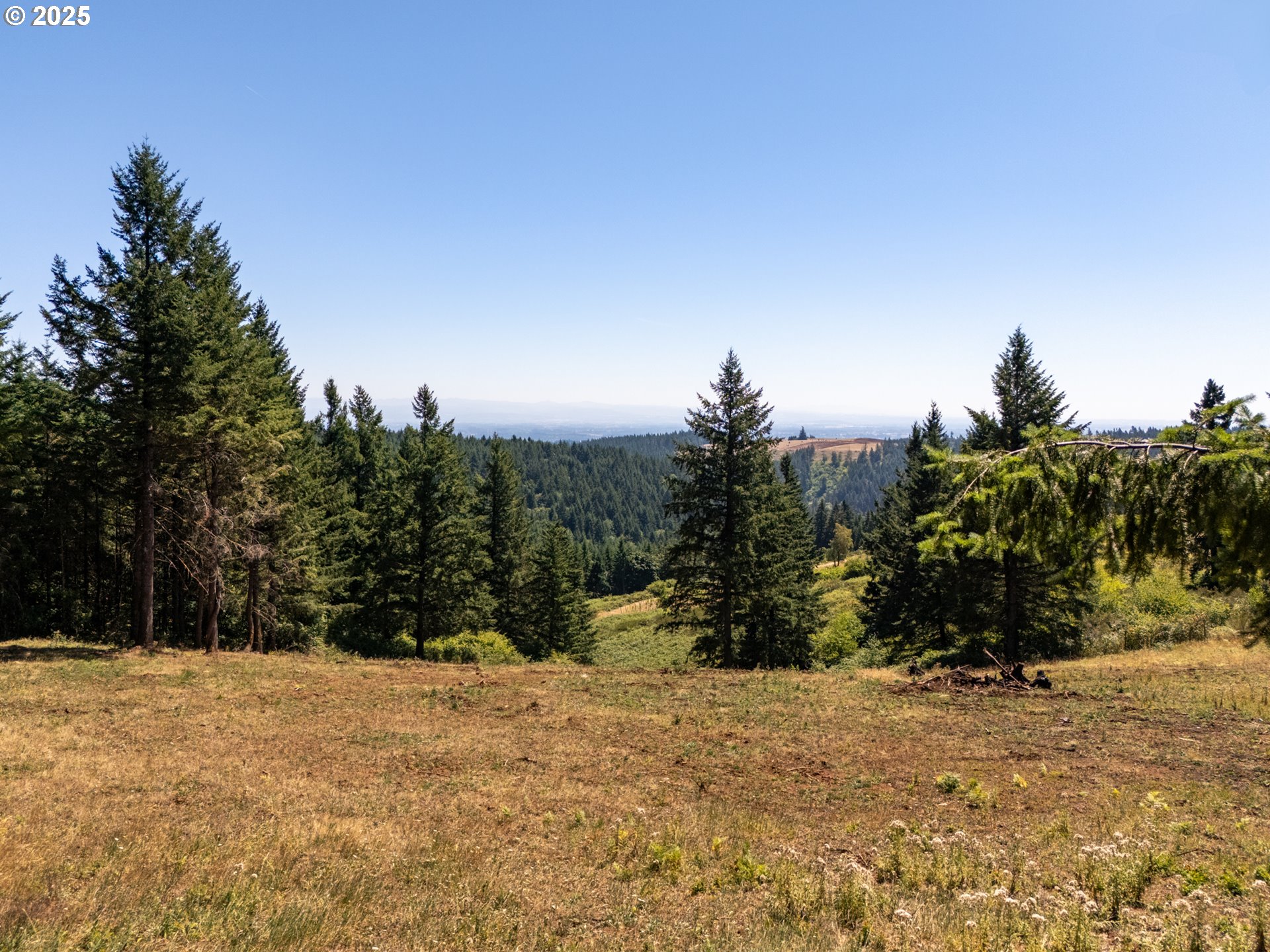 0 Northeast Old Parrett Mountain Road, Unit 2 Newberg, OR 97132 - Photo 18 of 43
