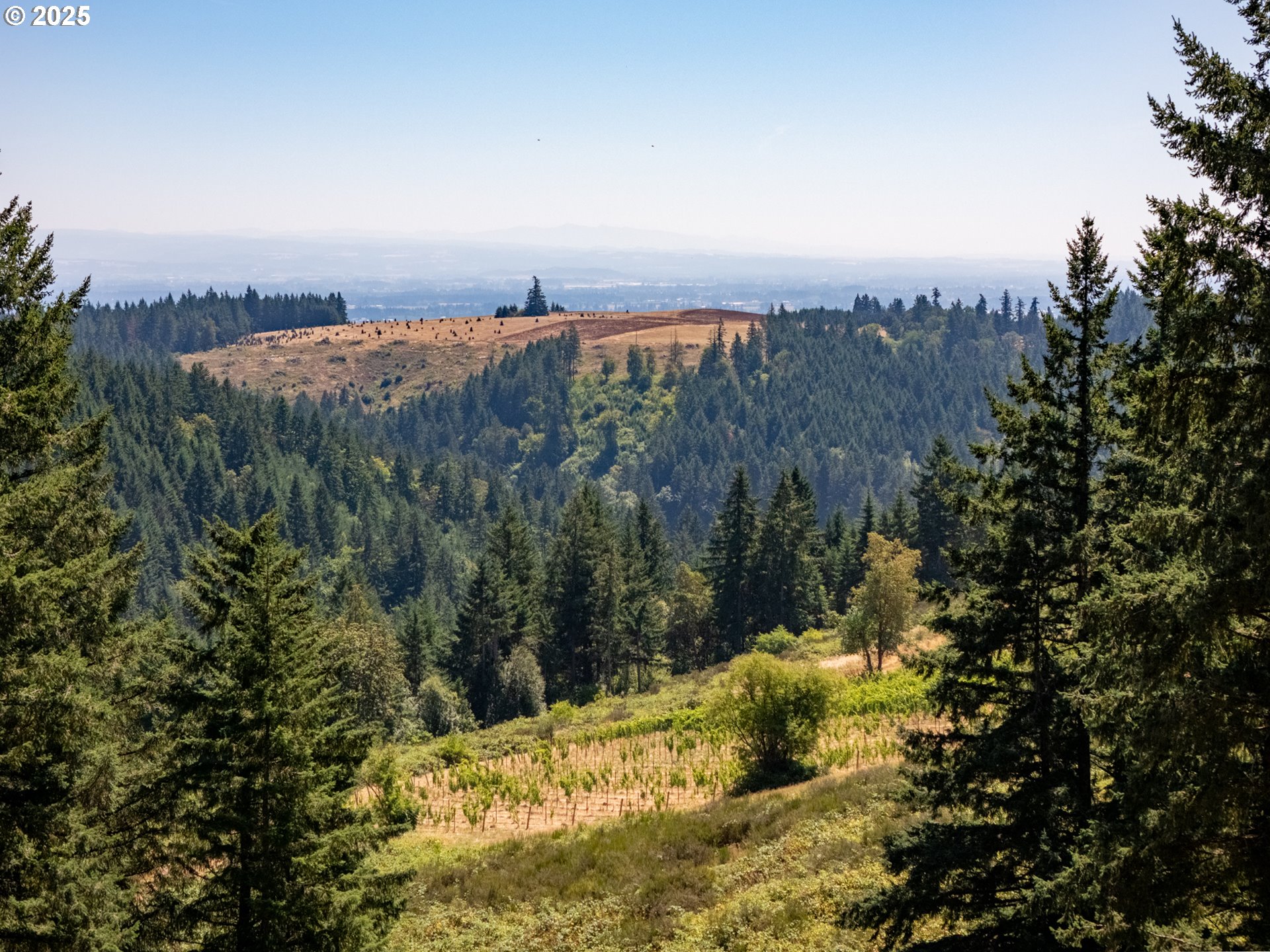 0 Northeast Old Parrett Mountain Road, Unit 2 Newberg, OR 97132 - Photo 20 of 43