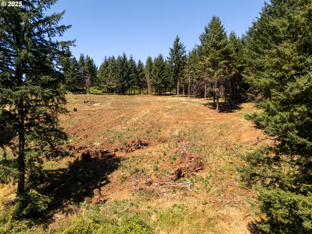 a view of outdoor space and trees