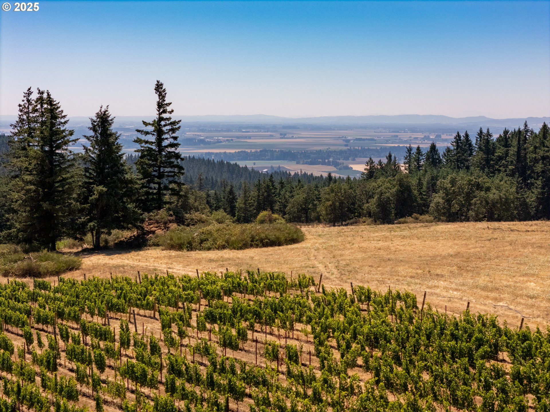 0 Northeast Old Parrett Mountain Road, Unit 2 Newberg, OR 97132 - Photo 21 of 43