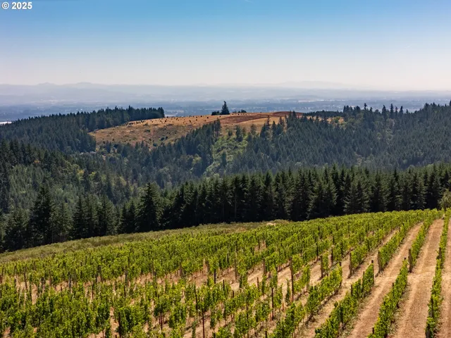 a view of a yard with outside space