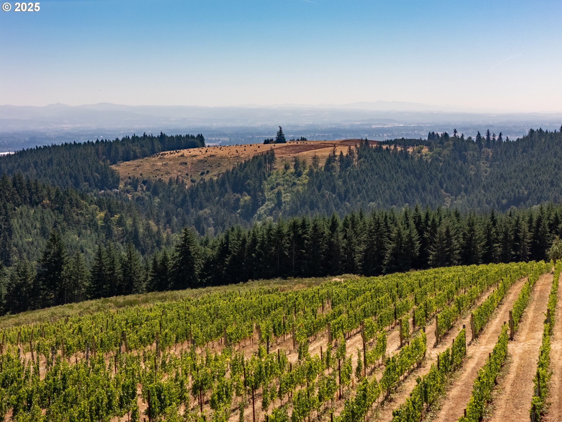 0 Northeast Old Parrett Mountain Road, Unit 2 Newberg, OR 97132 - Photo 22 of 43