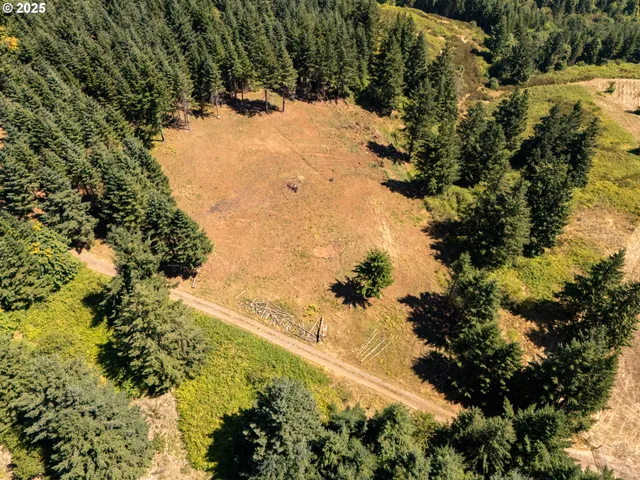 a view of a tree with a yard