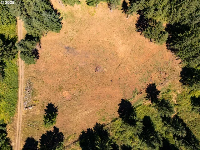 a view of outside covered with green space