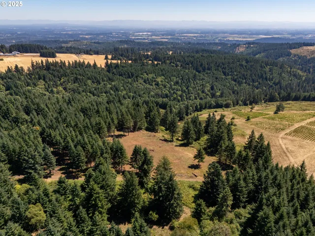 a view of a yard with a lake