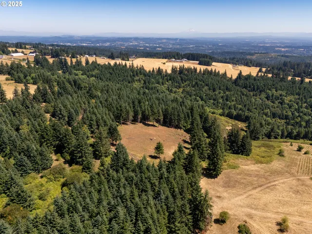 a view of a yard with a lake view