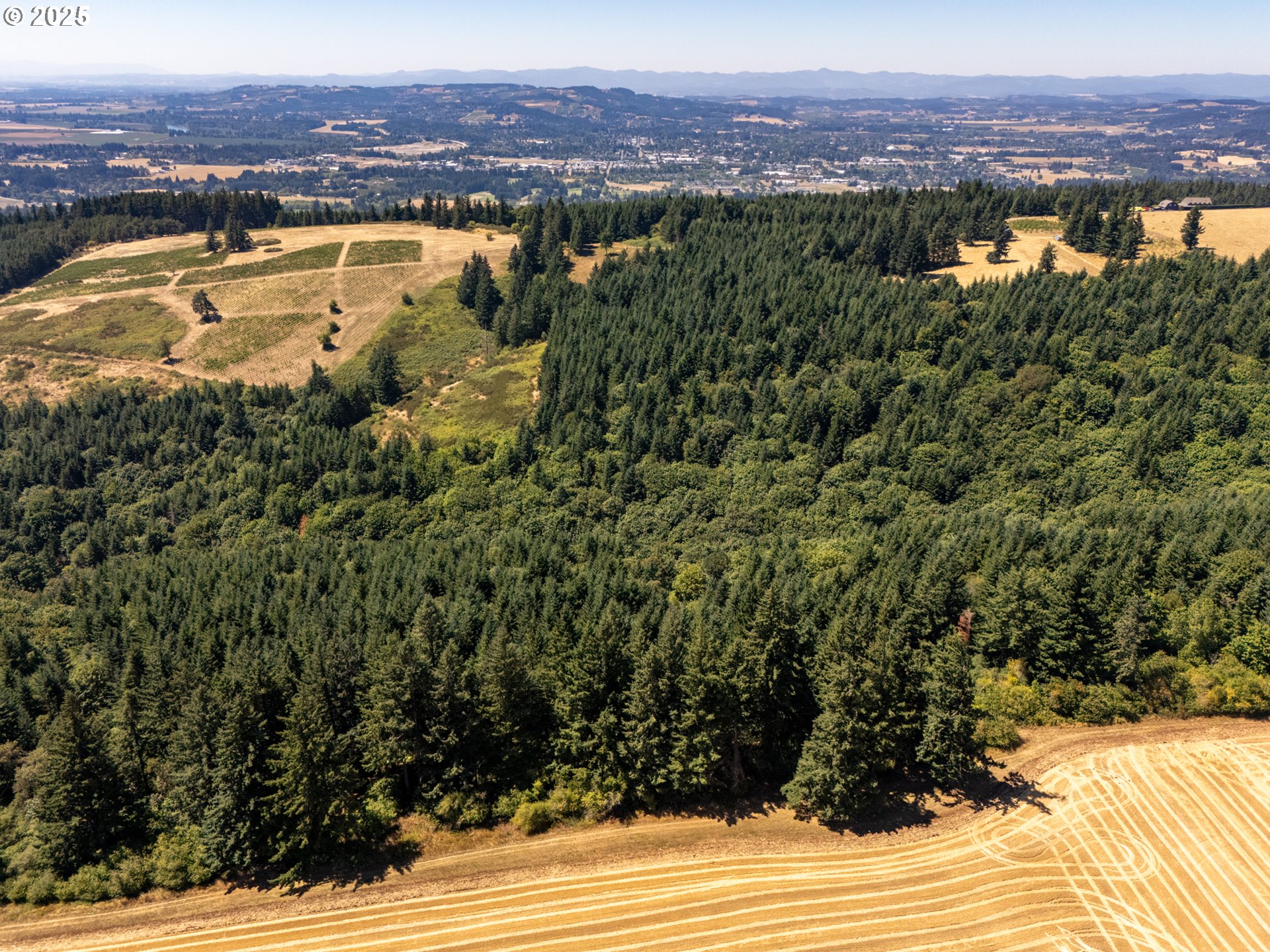0 Northeast Old Parrett Mountain Road, Unit 2 Newberg, OR 97132 - Photo 30 of 43