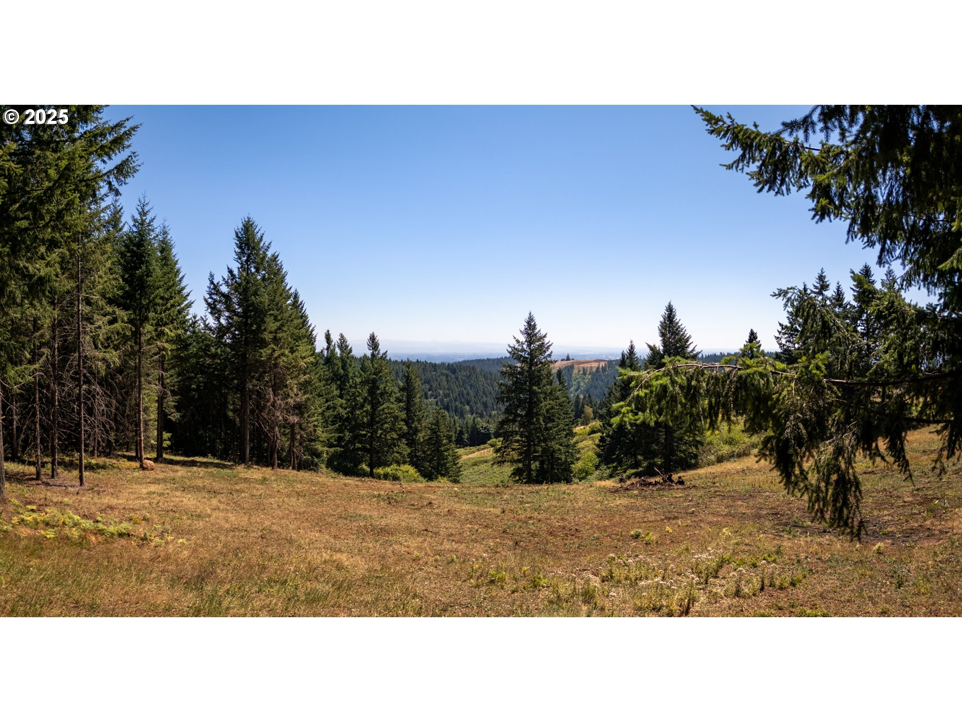 0 Northeast Old Parrett Mountain Road, Unit 2 Newberg, OR 97132 - Photo 3 of 43