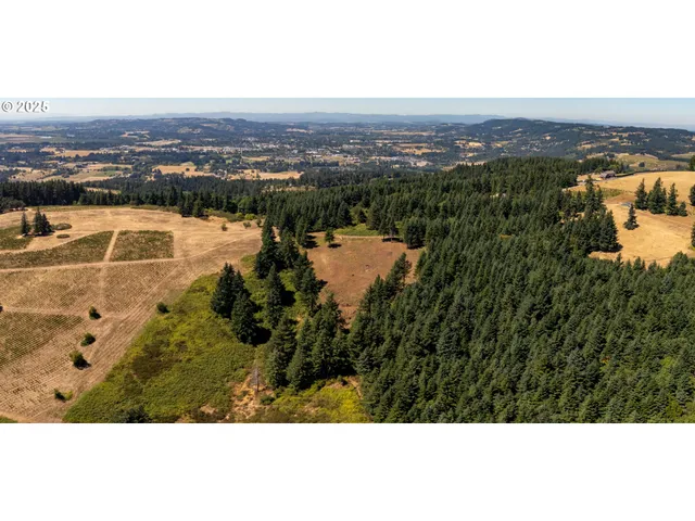 a view of a lake with a city
