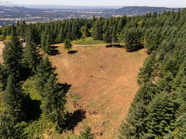 a view of a mountain with a yard