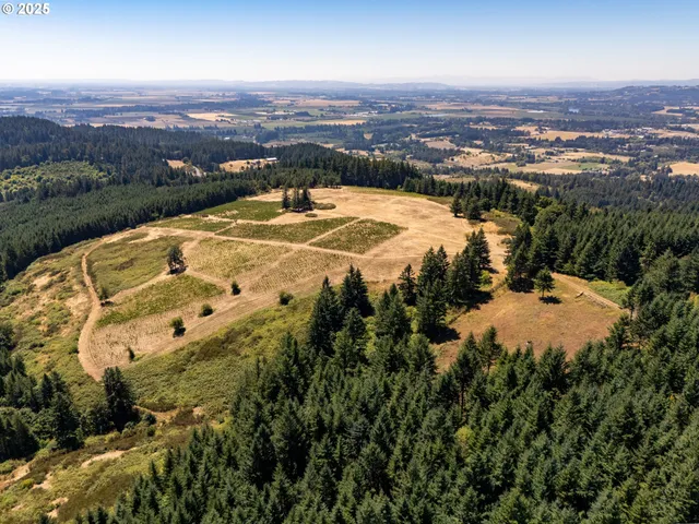 an aerial view of residential houses with yard and mountain view in back