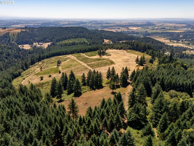 an aerial view of residential houses with outdoor space and trees