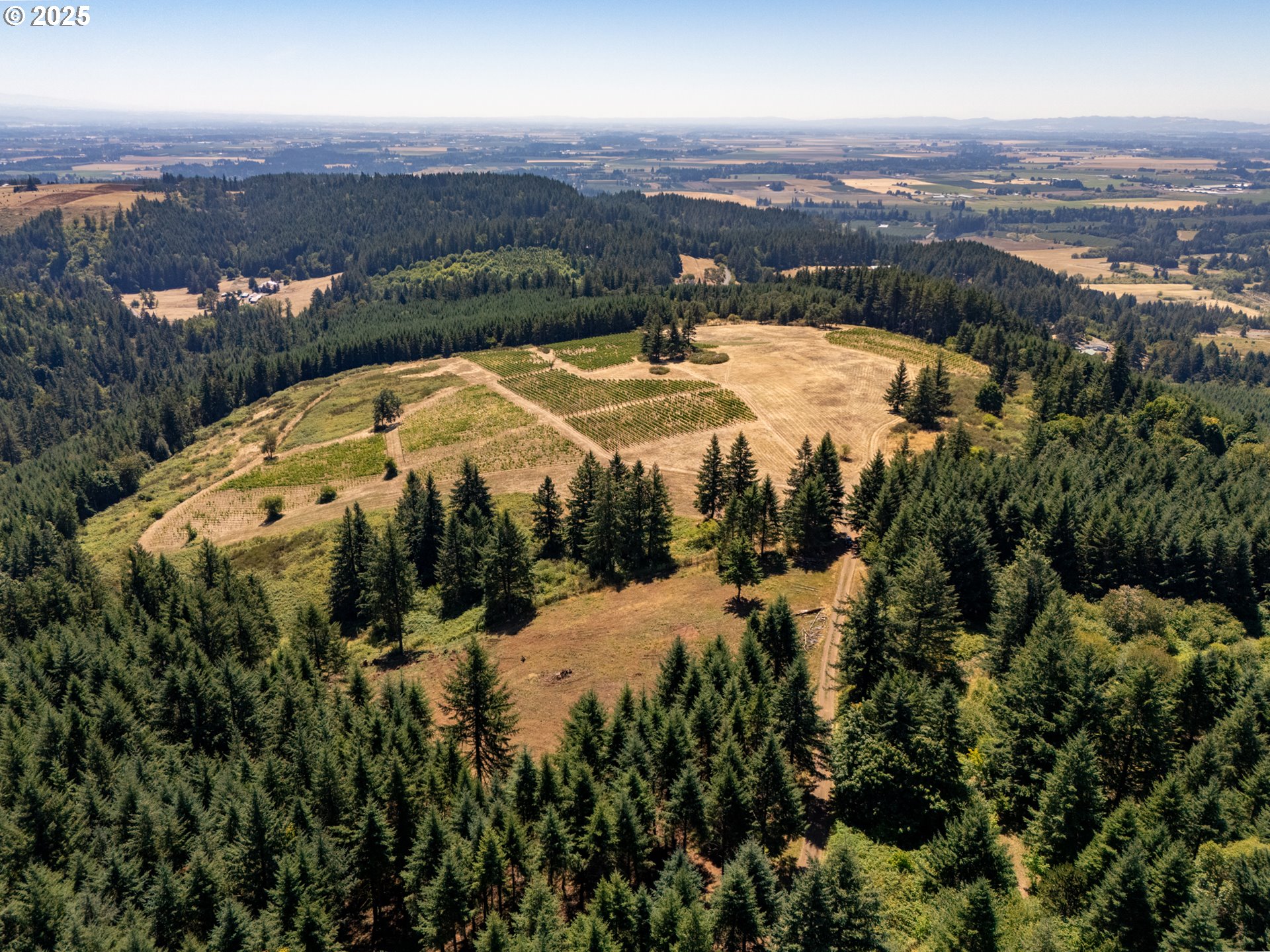 0 Northeast Old Parrett Mountain Road, Unit 2 Newberg, OR 97132 - Photo 35 of 43
